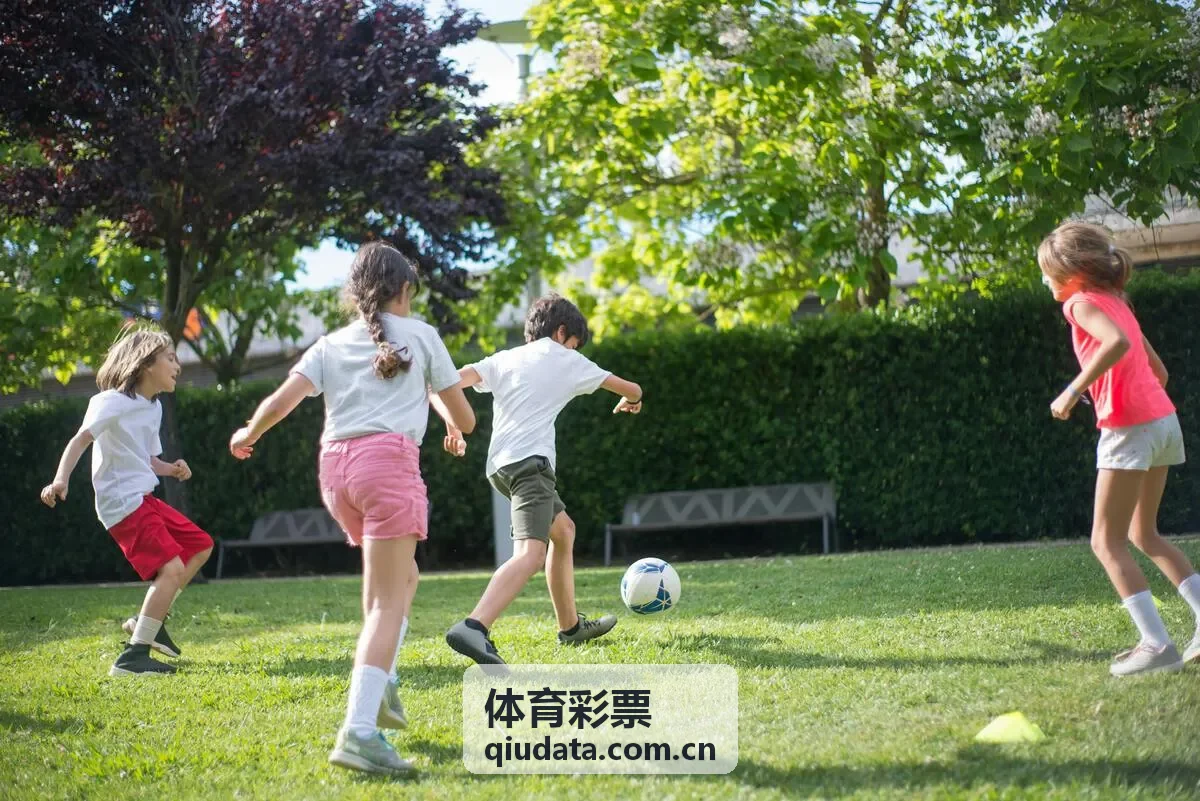 体育彩票公益与体育文化活动